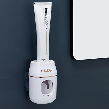 Toothbrush organizer, wall mountable, no drilling