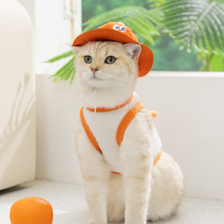 Breathable Pet Carrier Top for Cats and Small Dogs
