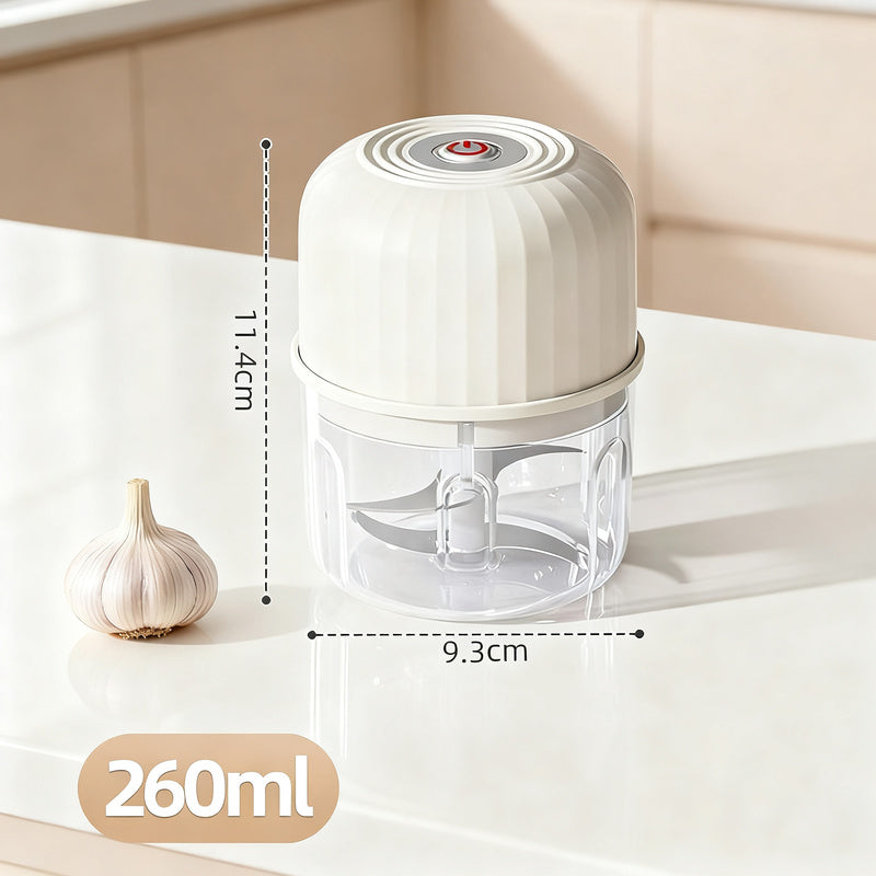 Electric garlic chopper, portable