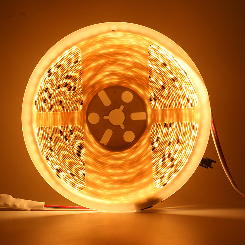 LED strip 24V, 120 SMD2835, color change