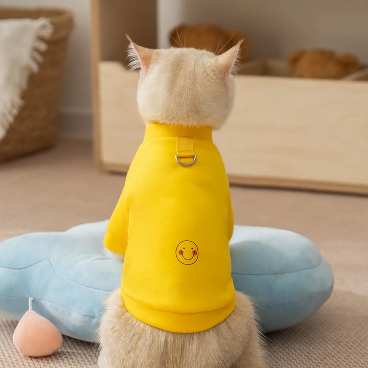 Sweatshirt for small dogs and cats