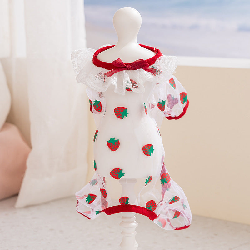 Cat clothing, mesh fabric, four legs, summer