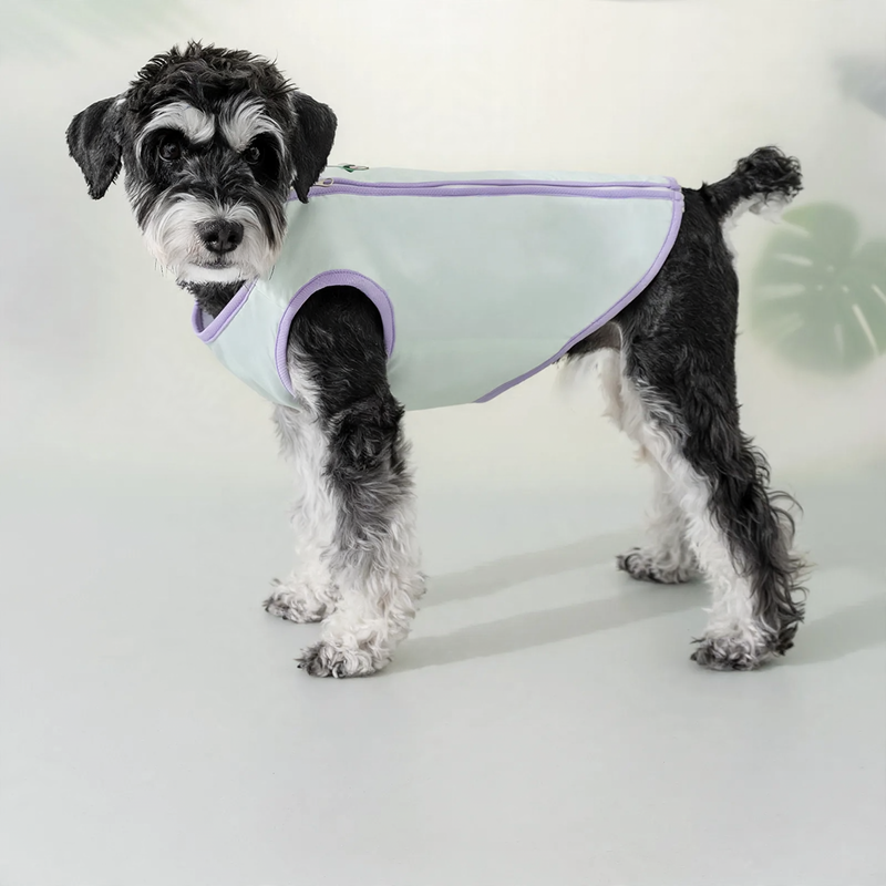 Light cooling clothing for dogs, Spring/Summer