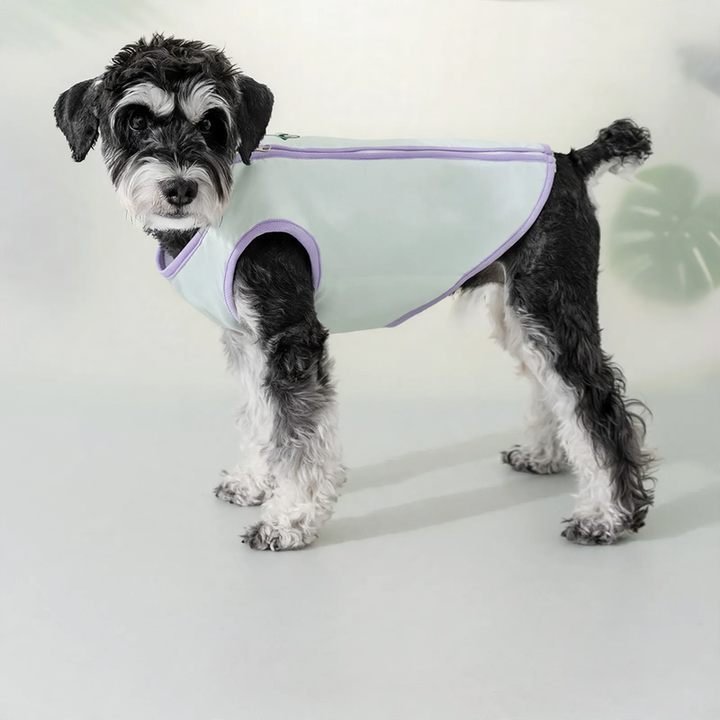 Light cooling clothing for dogs, Spring/Summer