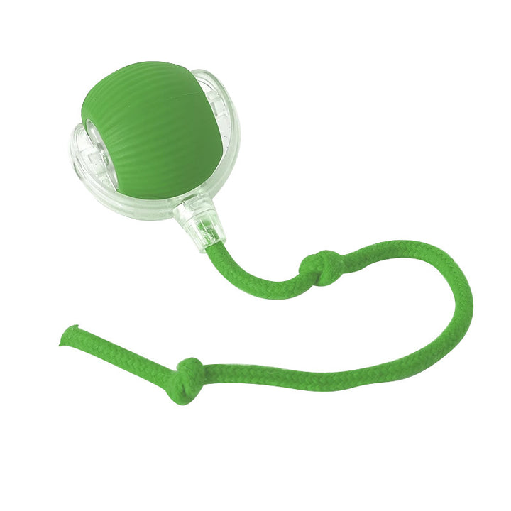 Interactive cat toy with tail