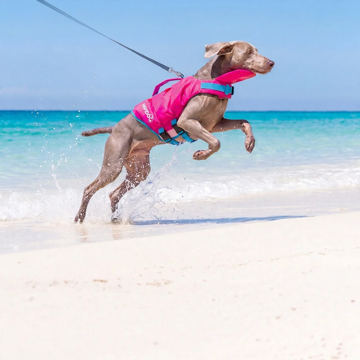 Life jacket for dogs, summer, various sizes