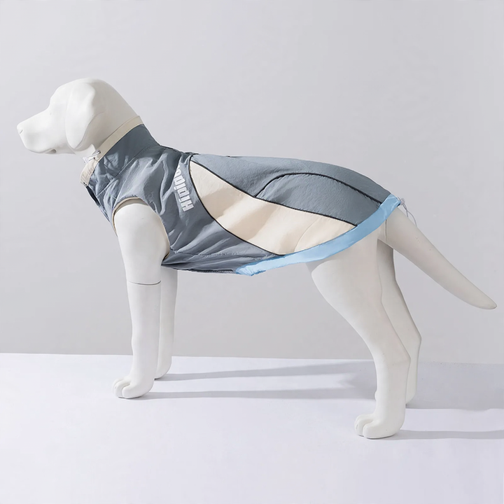 Two-legged jacket for large dogs