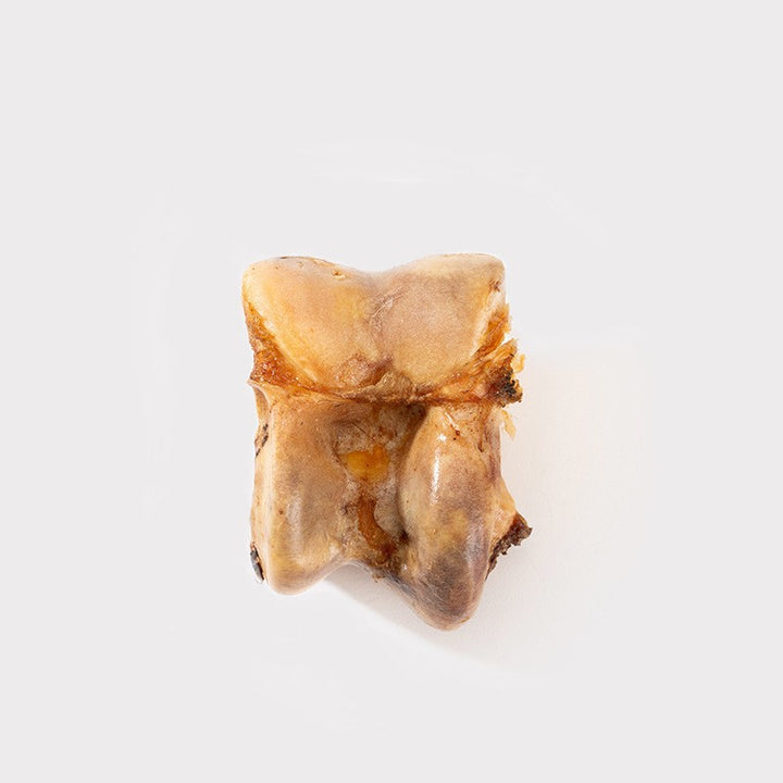 Kaustab with meat and beef bones for dogs