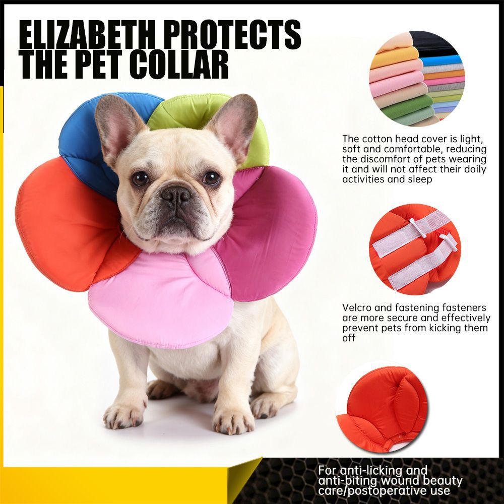 Protective collar for dogs and cats