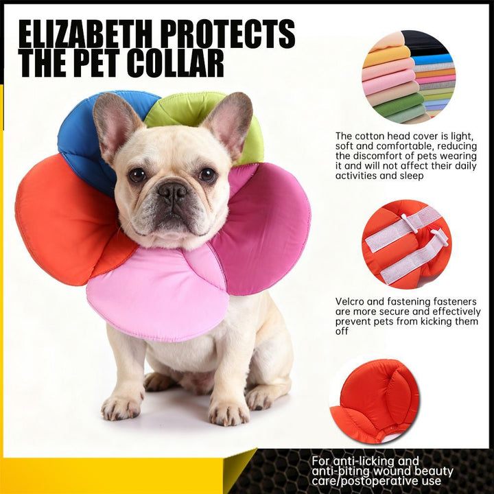Protective collar for dogs and cats