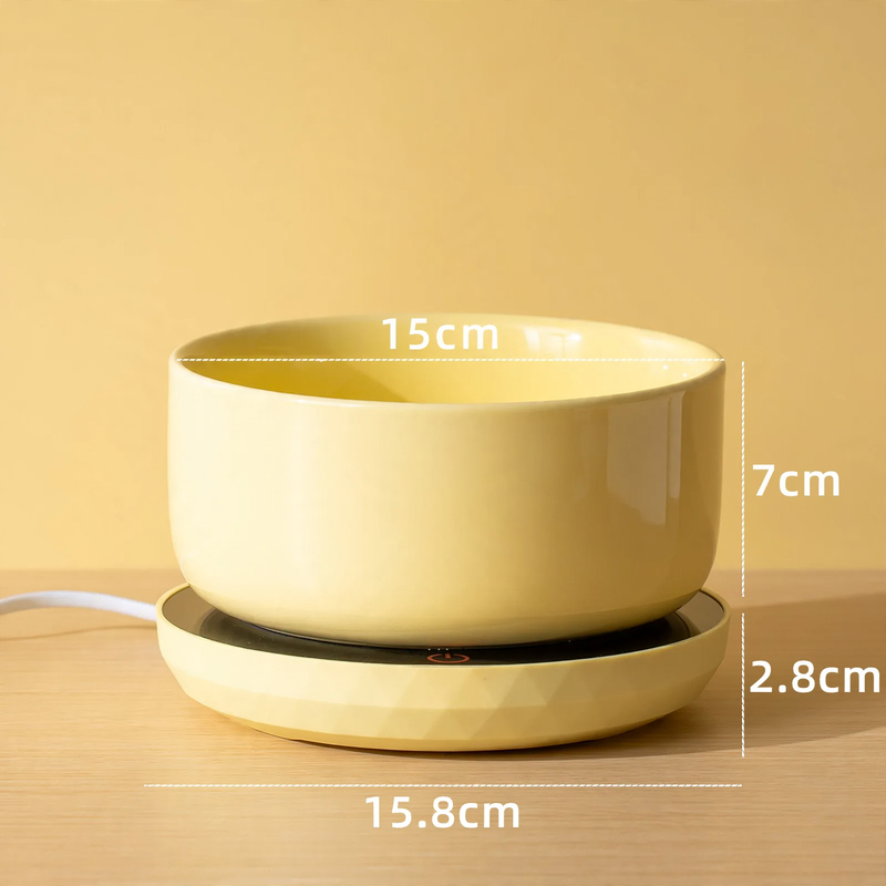 Heated ceramic bowl for cats and dogs