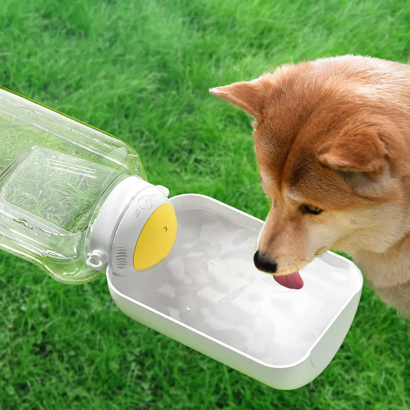 Portable water dispenser for dogs, 1000 ml