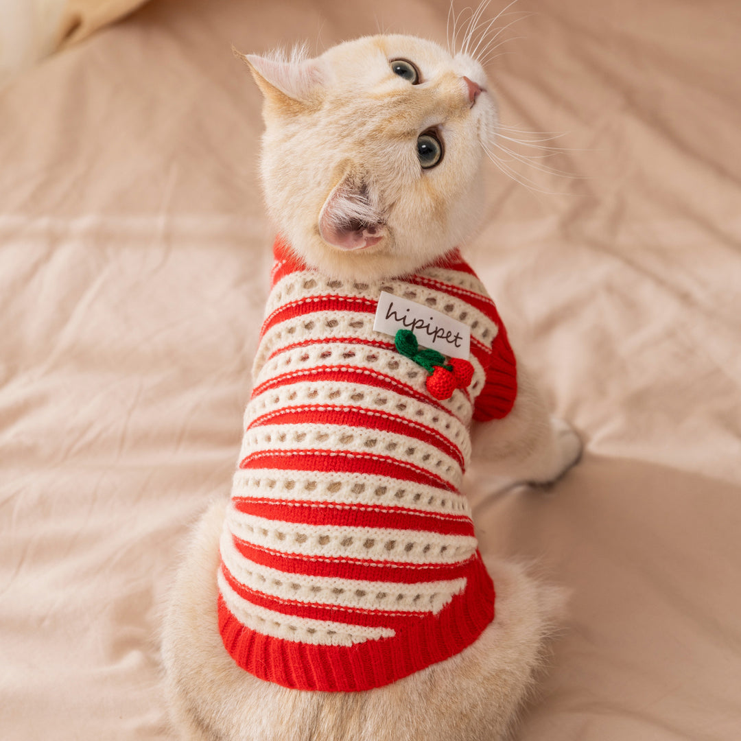 Sleeveless knit vest for cats with hole pattern