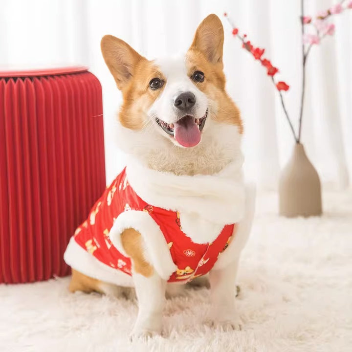 Chinese style dog suit, two-piece
