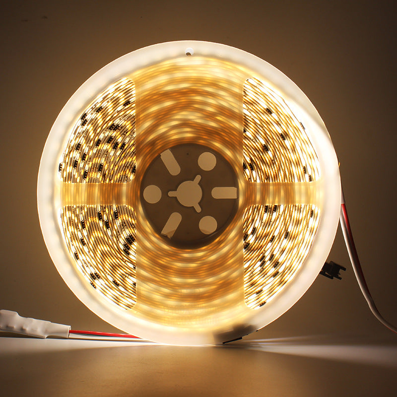 LED strip 24V, 120 SMD2835, color change