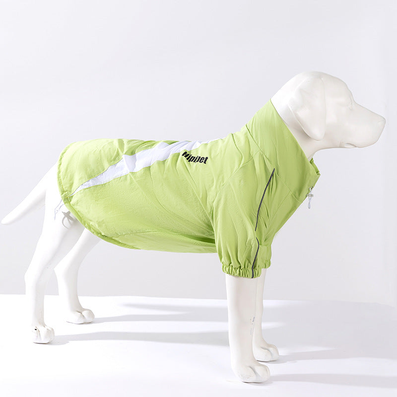 Two-legged jacket for large dogs