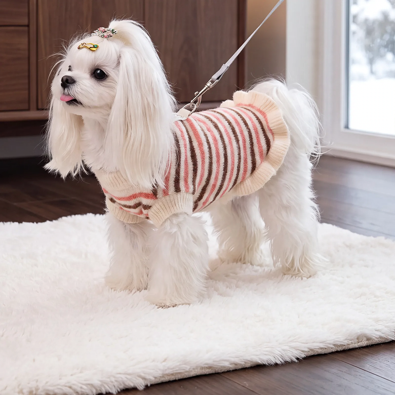 Striped sweater for small dogs and cats