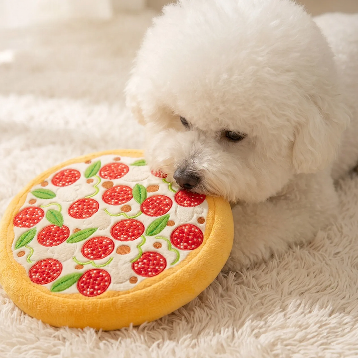 Dog toy, plush, with squeaker