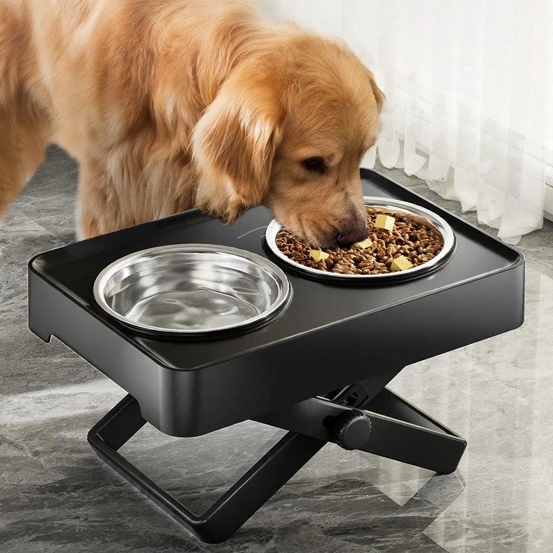 Raised double bowl made of stainless steel for large dogs