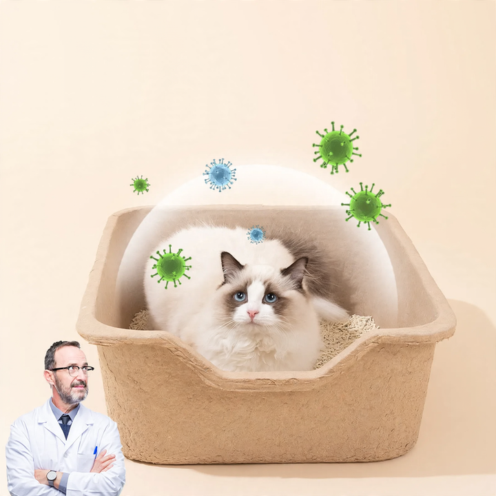 Disposable cat litter box made of cardboard