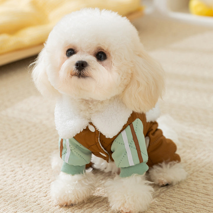 Winter jacket for small dogs with pockets and leash
