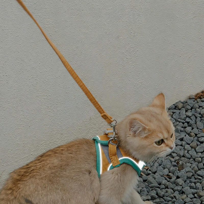 Reflective harness with leash for cats and small dogs
