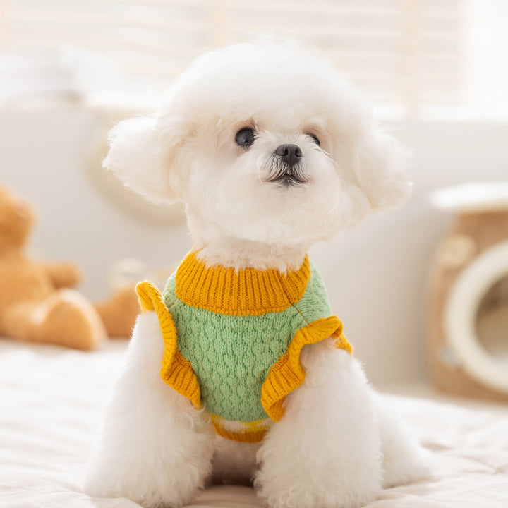 Knitted sweater for dogs and cats, pineapple pattern