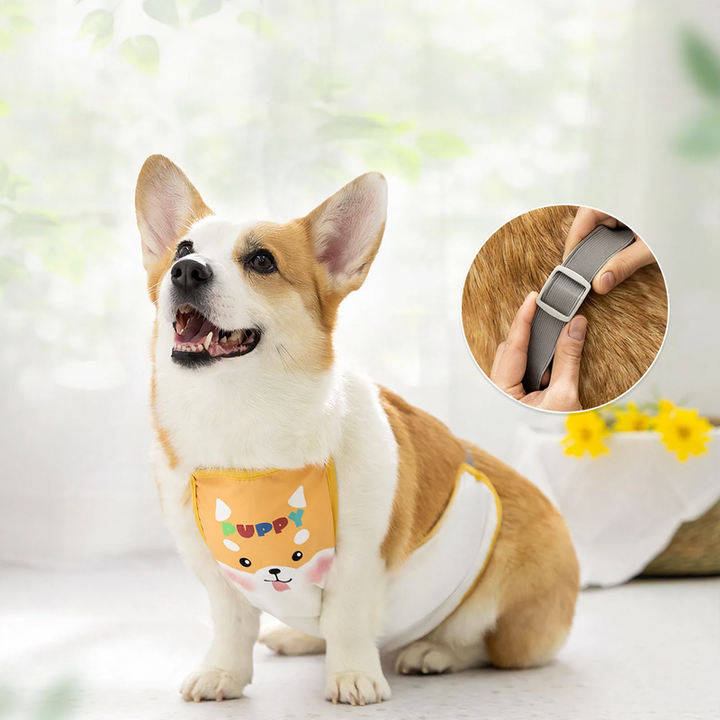 Waterproof belly protection vest for dogs