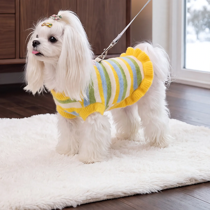 Striped sweater for small dogs and cats