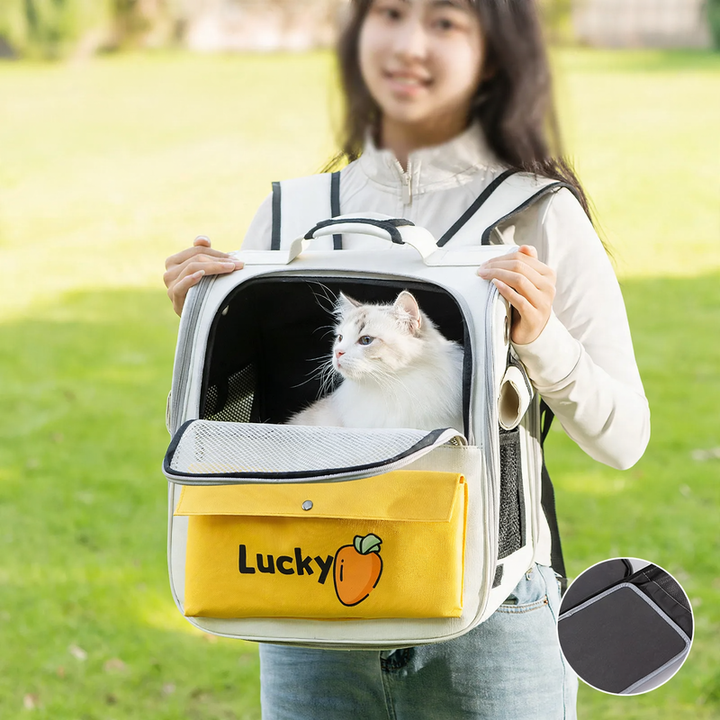 Backpack transport bag for cats and small dogs