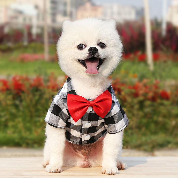 Pet shirt with collar, polyester, two legs
