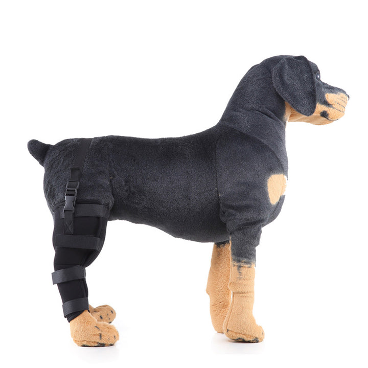 Hind leg support sleeve for dogs, year-round