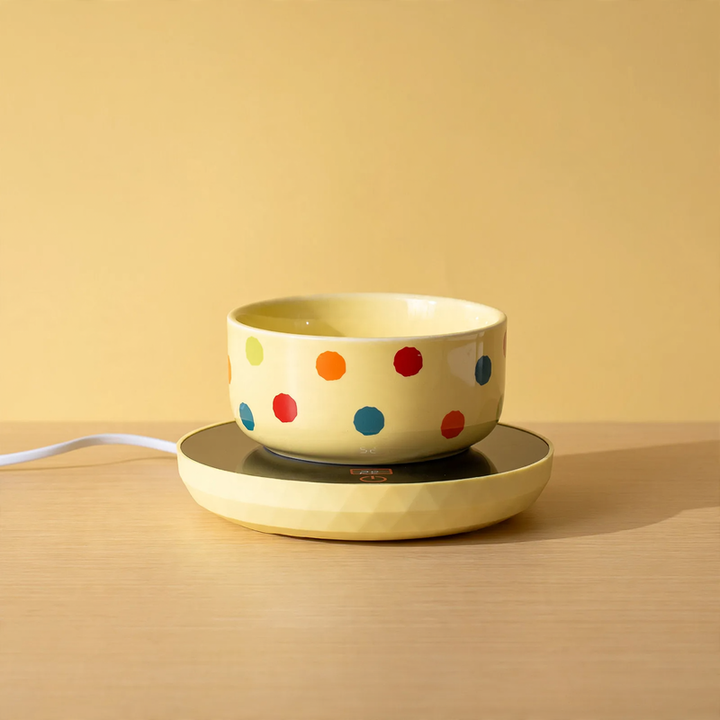 Heated ceramic bowl for cats and dogs