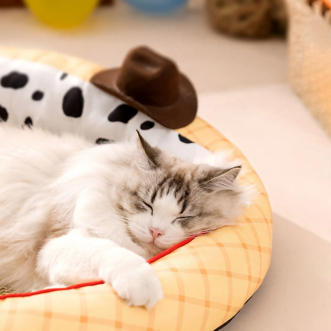 Breathable Pet Bed for Summer, Wicker