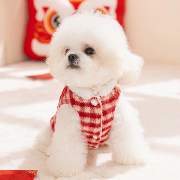 Padded pet vest with harness