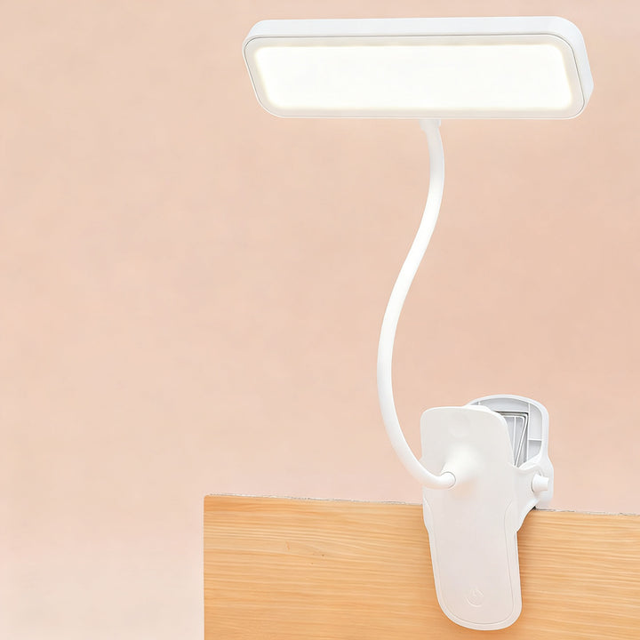 LED clip light with eye protection for learning