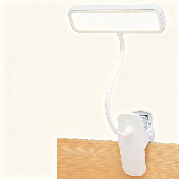 LED clip light with eye protection for learning