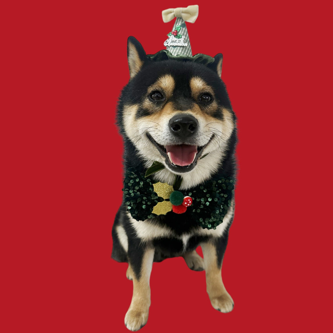 Christmas decorations for cats and dogs
