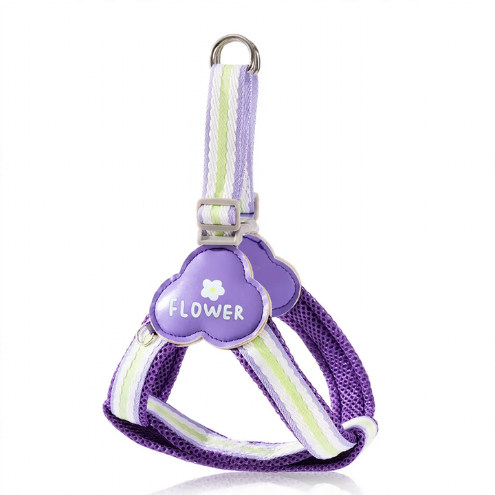Y-shaped dog harness with leash, fabric