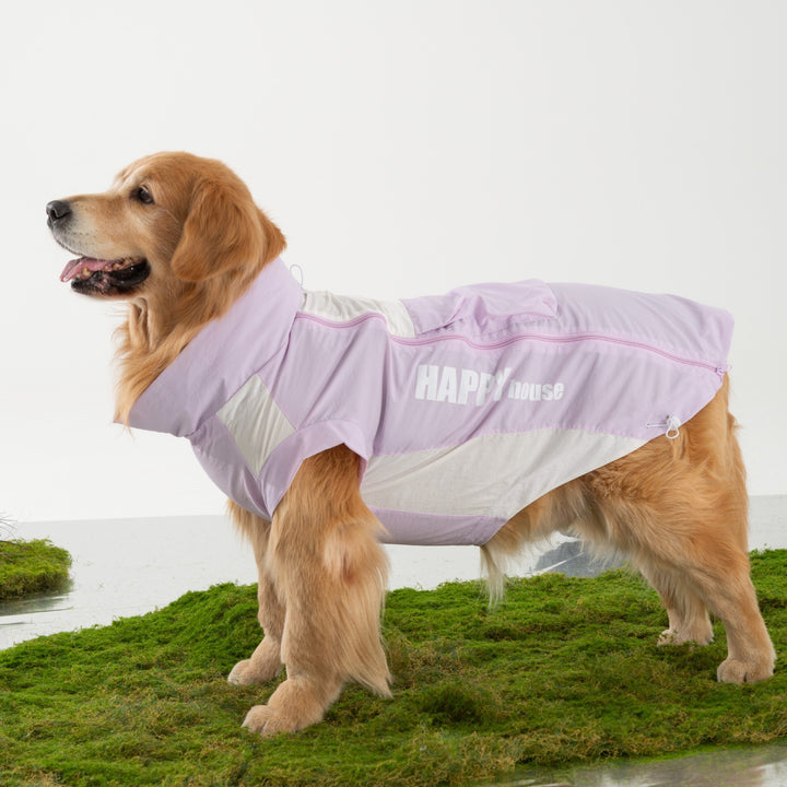 Two-legged jacket for large dogs
