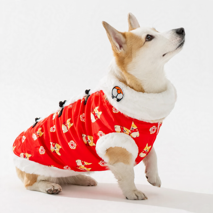 Chinese winter coat for medium dogs with scarf