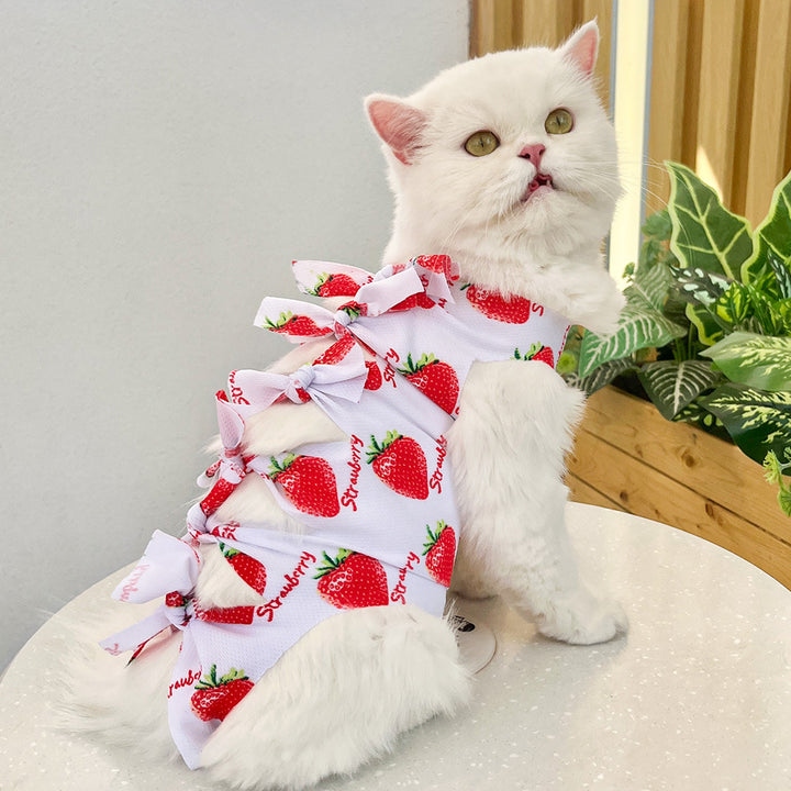 Protective clothing for pets after surgeries