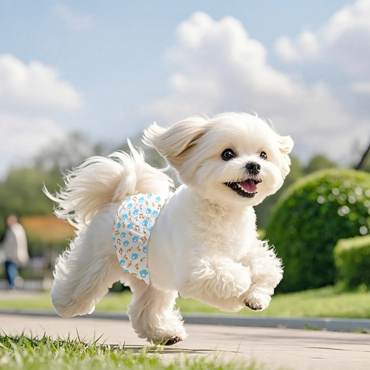 Diapers for dogs and cats, various sizes