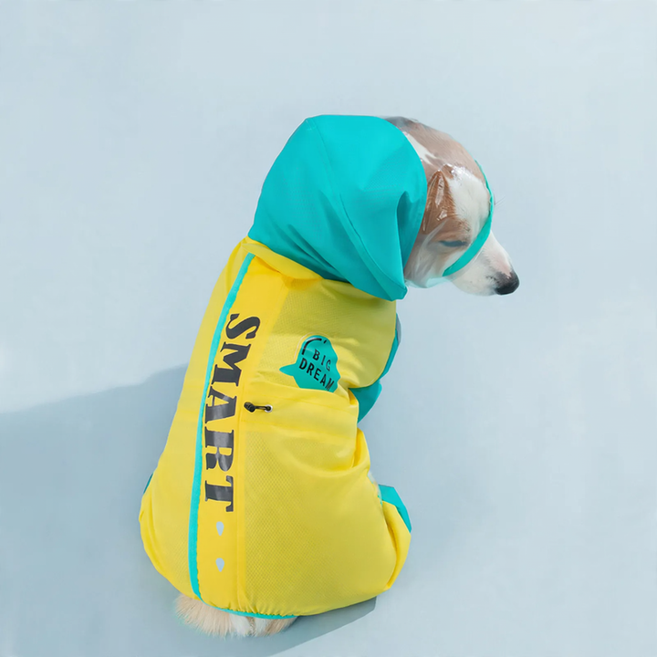 Waterproof raincoat for small and medium dogs