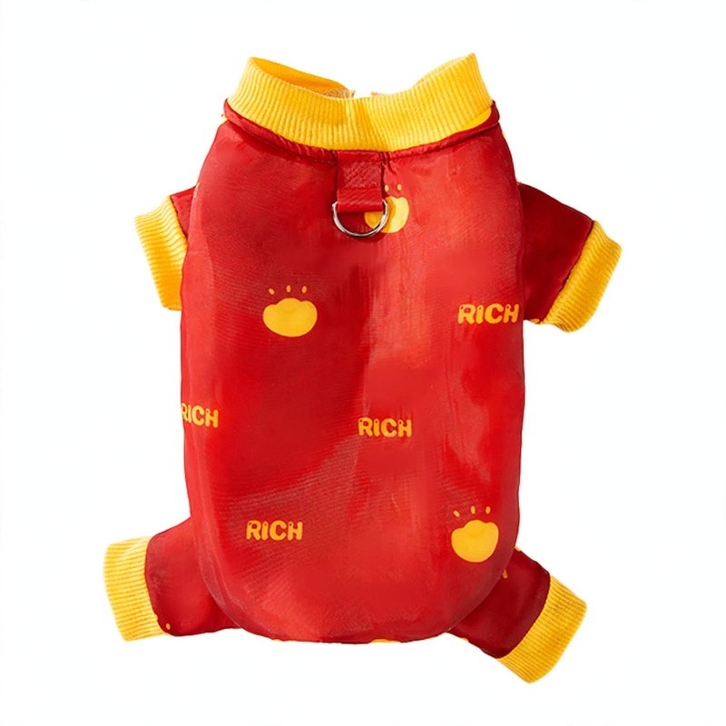 Winter coat for small dogs with harness
