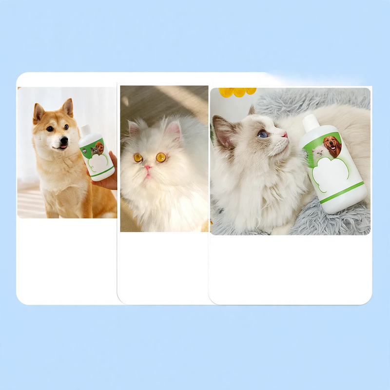 Care shampoo for dogs and cats