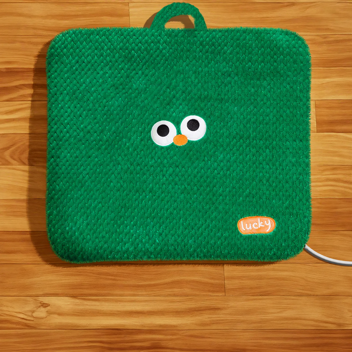 Heated pet mat with cover