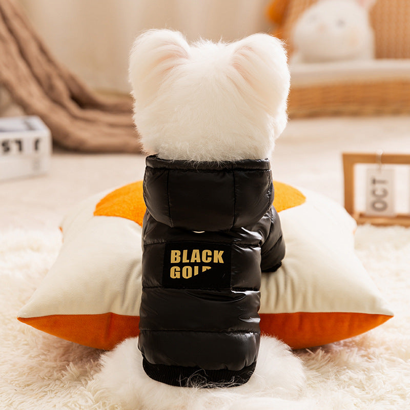 Cat jacket with leash for tethering