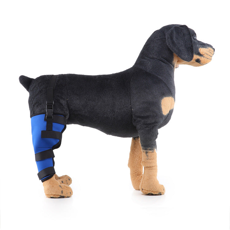 Hind leg support sleeve for dogs, year-round