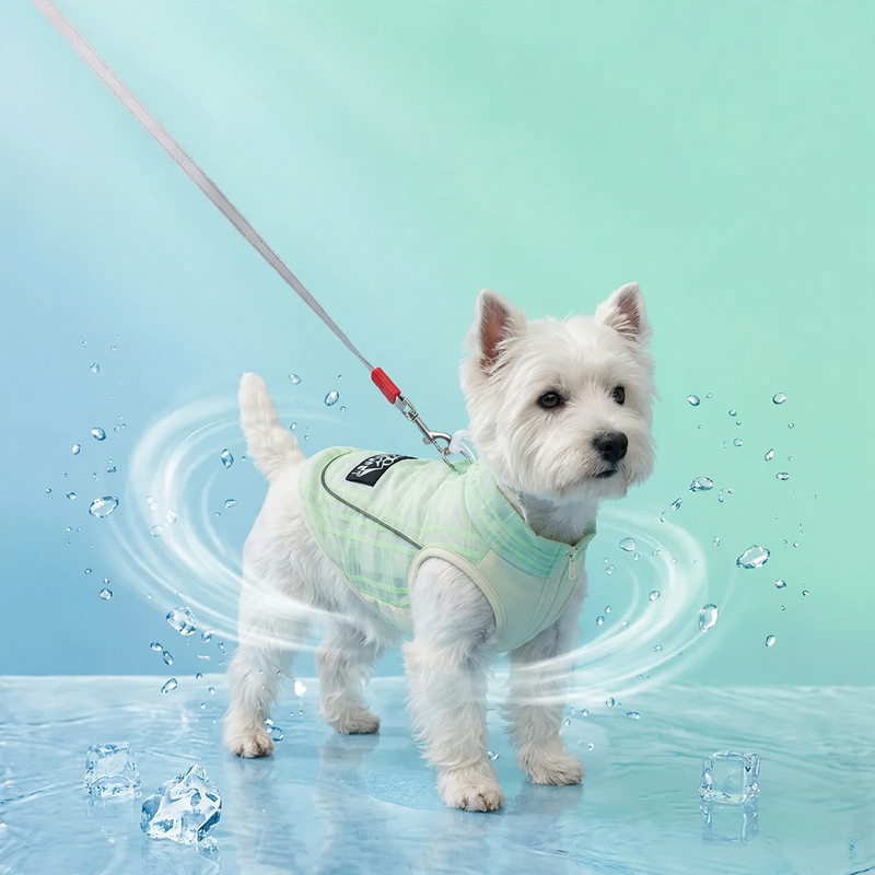 Dog carrier shirt with reflectors for summer